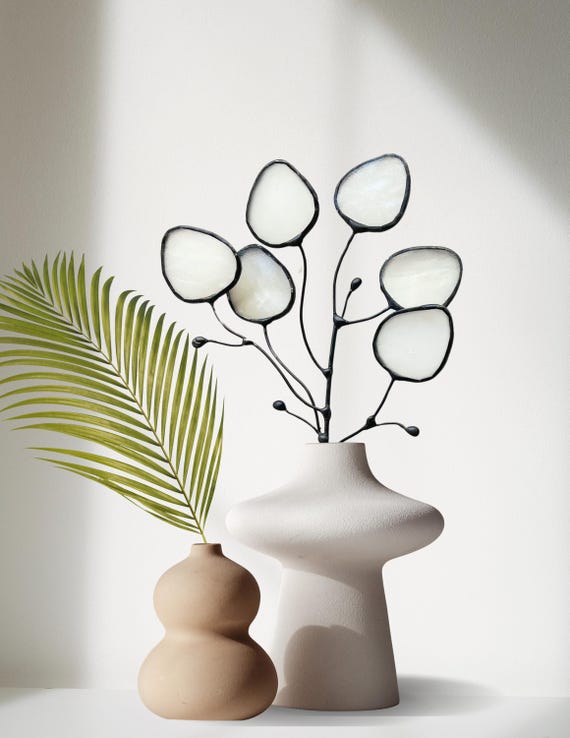 Glass Money Plant Seed Pod Stem