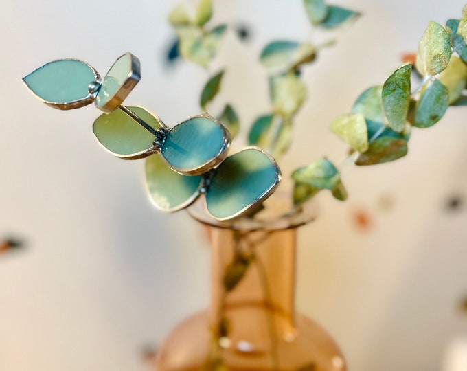 Baby Blue Eucalyptus Stem