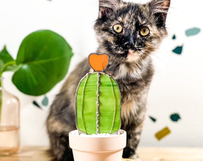 Baby Barrel Glass Cactus