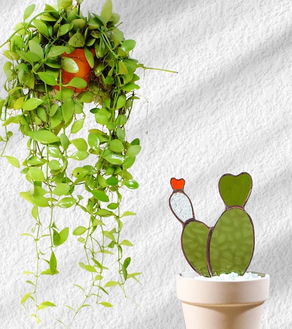 Baby Bunny Ear Glass Cactus