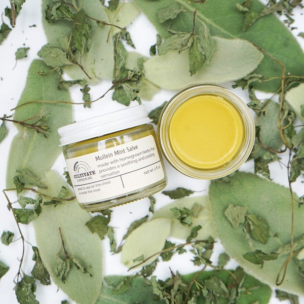 Mullein Mint Salve | Non-Toxic Vapor Rub | Chest Rub | Menthol Aroma | Eucalyptus | Peppermint | Mullein Leaves | Herbal Infused Oil | Salve