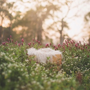 4 Newborn Outdoor Backdrops