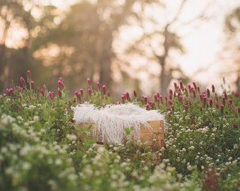 4 Newborn Outdoor Backdrops