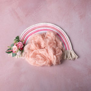 Digital Pink Rainbow Backdrop