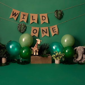 Wild One Digital Backdrop
