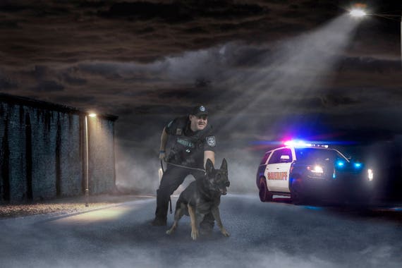 Law enforcement backgrounds HD wallpaper  Pxfuel