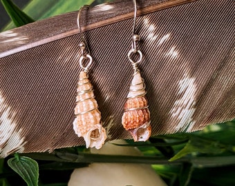 Fly Speck Cerith Shell Drop Earrings