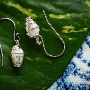 May include: A pair of silver earrings with white seashell accents. The earrings are hanging from a green leaf.