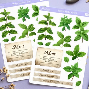 Mint Plant Magic Witch Book of Shadows Stickers, Kruidenkunde Journal Sticker Vel, Kruiden voor Hekserij Grimoire, Groene Heks Stickers BoS