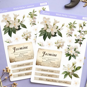 Jasmijn bloem sticker voor journaling, jasmijn kruid Magick sticker, jasmijn plant heks grimoire accessoires, kruidengeneeskunde stickers voor heksen