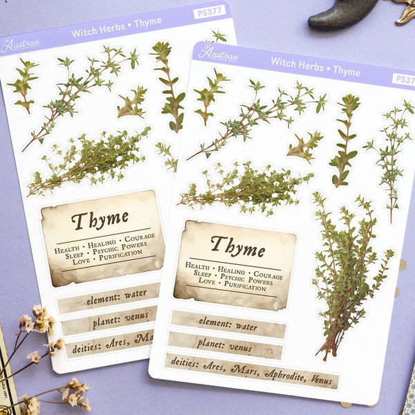 Thyme Plant Witch Book of Shadows Stickers, Herbalism Journal Stickers Witchy, Green Witch Planner Stickers, Herbal Magic Stickers Wicca BoS