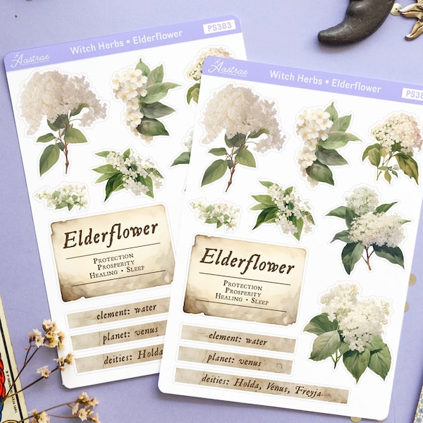 Elderflower Plant Labels for Apothecary, Witchcraft Herbs Grimoire Sticker Sheet, Flower Witch Beginners Stickers, Wiccan Herbs Stickers