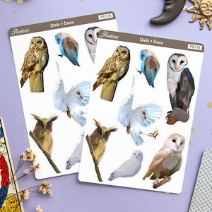 Eule Aufkleber, Eule Planner Aufkleber, Eulen Aufkleber Blatt, Eule stationär, Vogel Planner Aufkleber, dekorative Aufkleber, kreatives Journaling Bujo