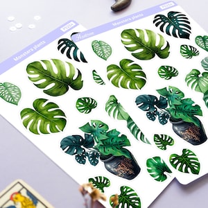 Pegatina Monstera, pegatina de planta Monstera, pegatinas botánicas, pegatinas de planificador de plantas tropicales, hoja de pegatinas Deco, hoja de pegatinas de plantas de casa