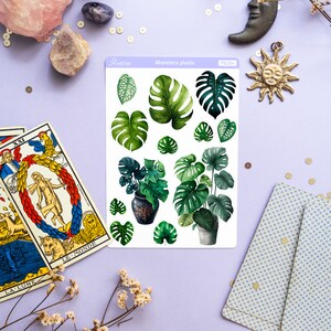 Puede incluir: Una hoja de pegatinas de plantas Monstera con varios dise&ntilde;os de hojas verdes y plantas en macetas. La hoja est&aacute; sobre una superficie de color lila claro, rodeada de cartas del tarot, cristales y objetos decorativos.