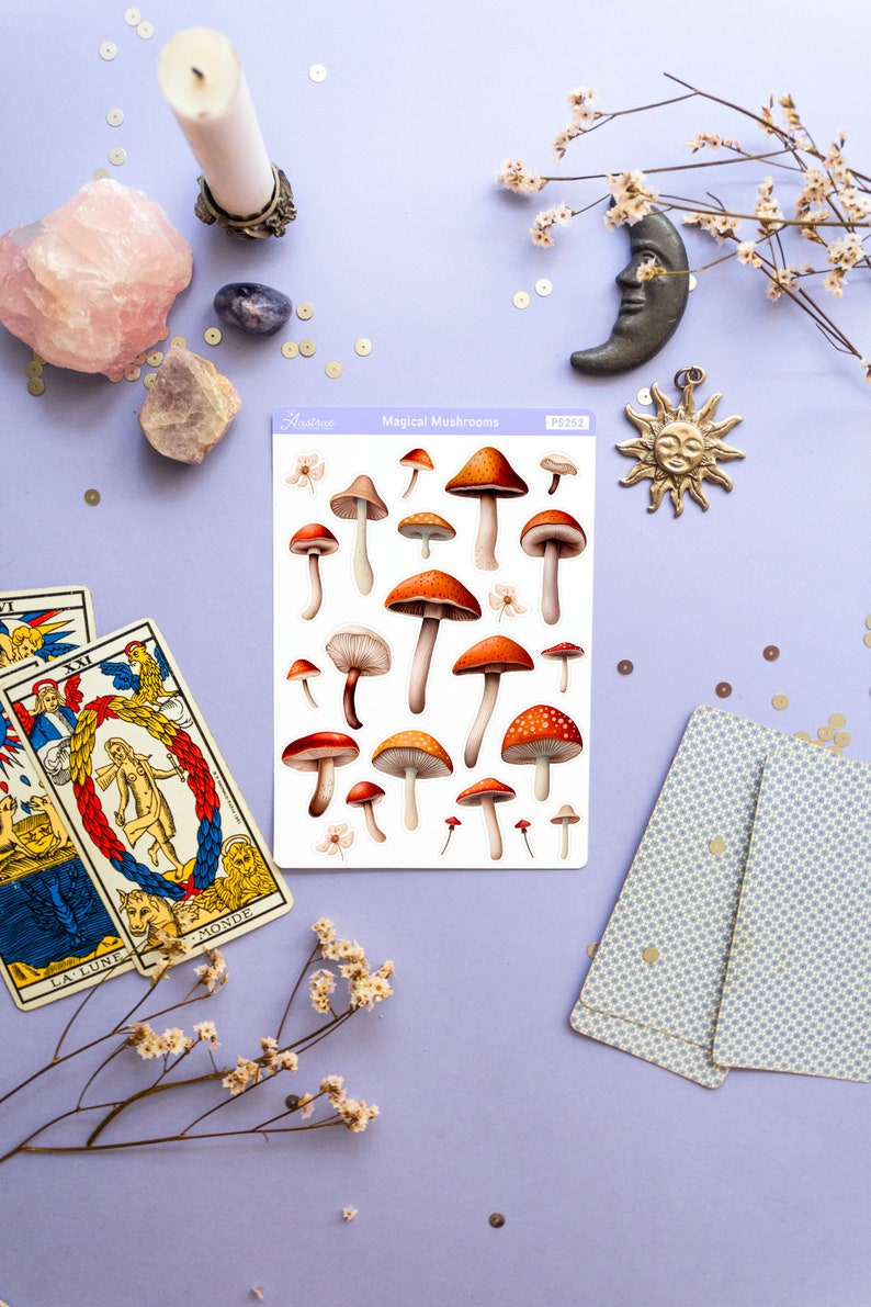 Peut inclure: Une feuille d'autocollants illustrant diff&eacute;rents types de champignons. Les autocollants sont sur fond blanc et portent l'inscription "Magical Mushrooms" et "Astrozee". Les autocollants sont entour&eacute;s de divers objets, dont un cristal rose, un bougeoir argent&eacute;, une lune argent&eacute;e, un soleil dor&eacute; et un jeu de cartes de tarot.