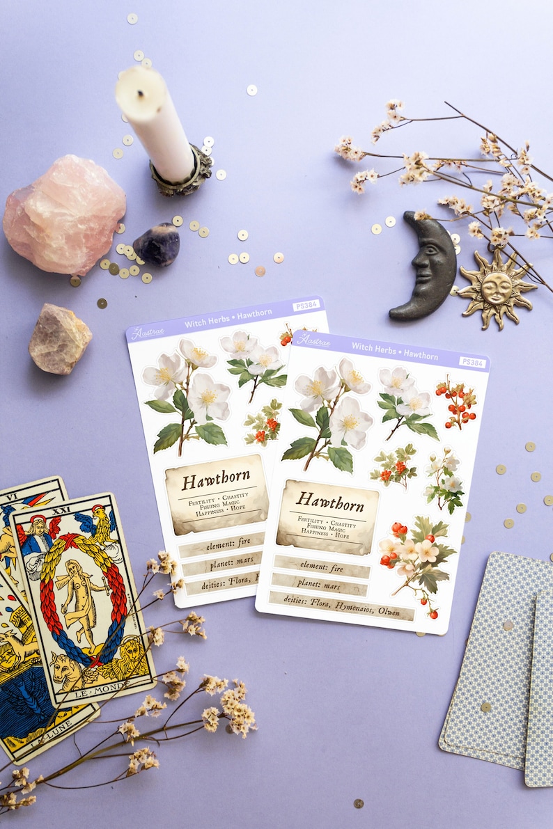 May include: Two sheets of stickers featuring illustrations of Hawthorn flowers and berries. The stickers are labeled "Witch Herbs - Hawthorn" and include information about the plant's properties, including its element, planet, and deities. The stickers are on a purple background with other witchy items, including a candle, crystals, and tarot cards.