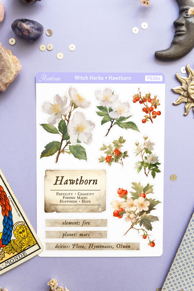 May include: A set of five stickers featuring illustrations of Hawthorn flowers and berries. The stickers are white with a black outline and feature the text "Hawthorn", "Fertility. Chastity. Fishing Magic. Happiness. Hope", "element: fire", "planet: mars", and "deities: Flora, Hymenaios, Olwen".