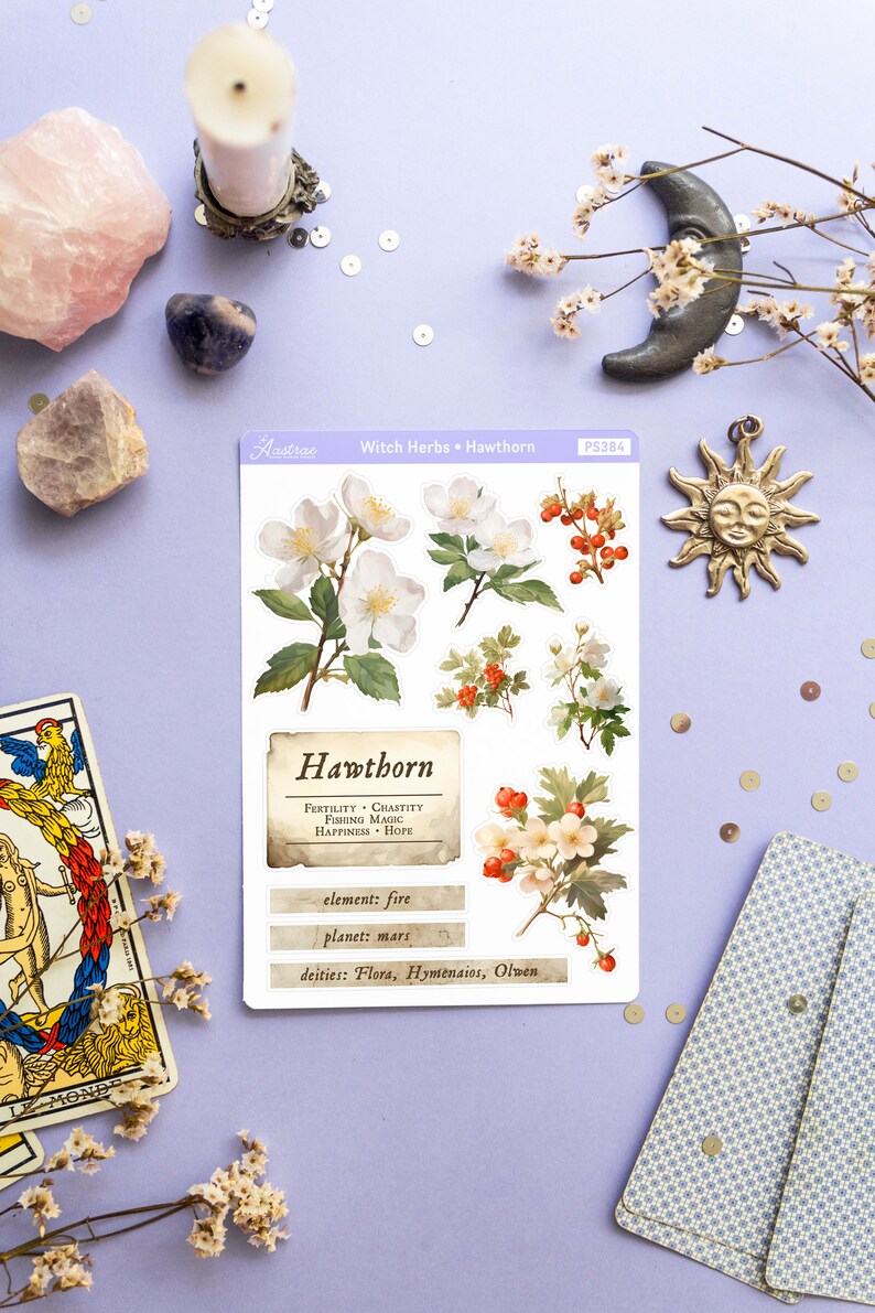 May include: A sheet of stickers featuring illustrations of Hawthorn flowers and berries. The stickers are on a white background with a text box that reads "Hawthorn" and includes information about the plant's properties, element, planet, and deities. The text reads: "Hawthorn, Fertility, Chastity, Fishing Magic, Happiness, Hope, element: fire, planet: mars, deities: Flora, Hymenaios, Olwen."