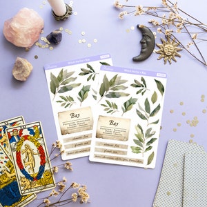 May include: Two sheets of stickers featuring illustrations of bay leaves with the text "Witch Herbs - Bay" and "Bay" with information about the herb's properties, including protection, purification, psychic power, strength, healing, element: fire, planet: sun, deities:  Apollo, Ceres, Pan,  Diana, Eros.