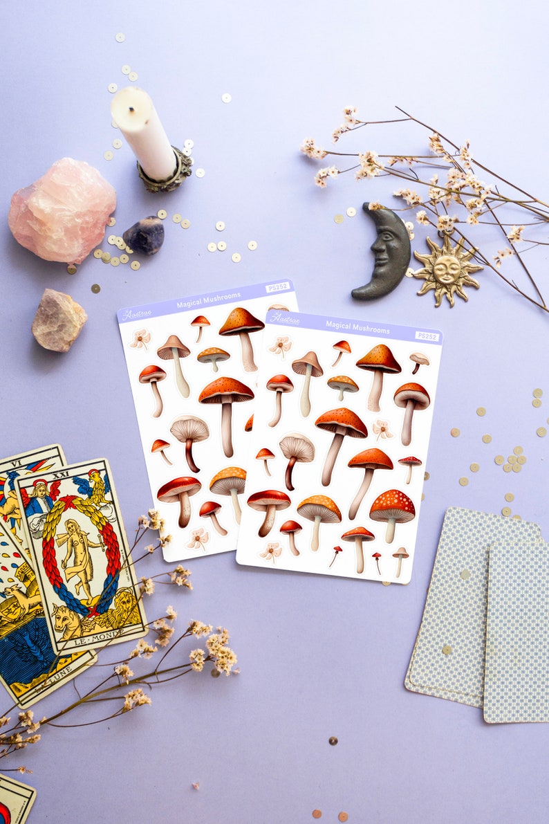 Peut inclure: Deux feuilles d'autocollants illustrant diff&eacute;rents types de champignons. Les autocollants sont blancs avec une bordure bleu clair et le texte "Magical Mushrooms" imprim&eacute; sur chaque feuille.