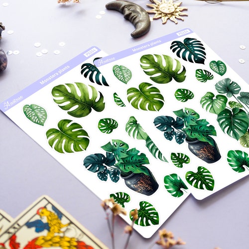 Monstera Sticker, Monstera Plant Sticker, Botanical Stickers, Tropical Plant Planner Stickers, Deco Sticker Sheet, House Plant Stickers Leaf