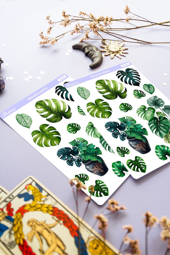 Monstera Sticker, Monstera Plant Sticker, Botanical Stickers, Tropical Plant Planner Stickers, Deco Sticker Sheet, House Plant Stickers Leaf