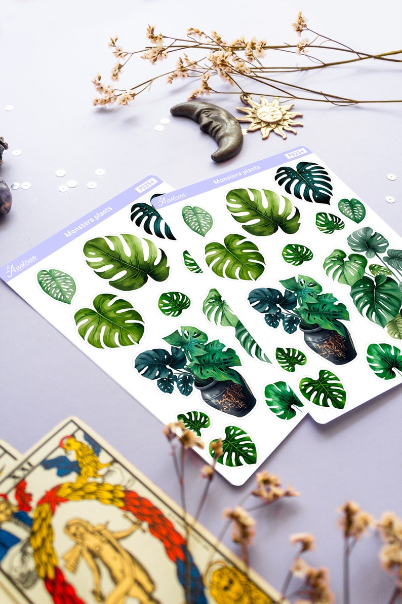 Puede incluir: Dos hojas de pegatinas de plantas Monstera con varios dise&ntilde;os de hojas verdes y plantas en macetas. Las pegatinas tienen un fondo blanco y est&aacute;n etiquetadas como "Aastrae" y "Monstera plants". Elementos decorativos: luna, sol y flores secas.