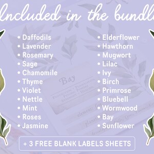 May include: A purple background with a list of herbs and flowers, including Daffodils, Lavender, Rosemary, Sage, Chamomile, Thyme, Violet, Nettle, Mint, Roses, Jasmine, Elderflower, Hawthorn, Mugwort, Lilac, Ivy, Birch, Primrose, Bluebell, Wormwood, Bay, and Sunflower. The text "Included in the bundle" and "+ 3 FREE BLANK LABELS SHEETS" are also included.