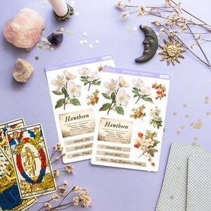 May include: Two sheets of stickers featuring illustrations of Hawthorn flowers and berries. Each sheet has a description of the plant's properties, including its element, planet, and deities. The text on the stickers reads "Witch Herbs + Hawthorn" and "PS384".
