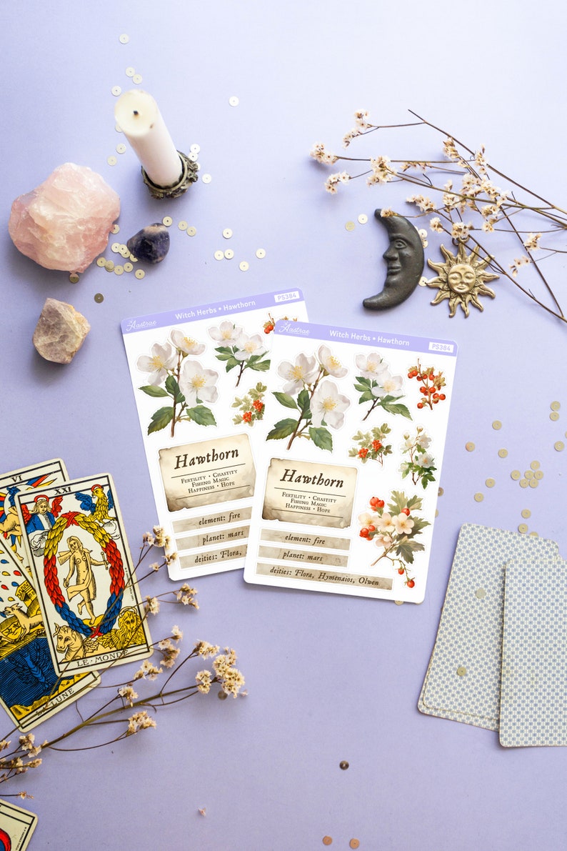 May include: Two sheets of stickers featuring illustrations of Hawthorn flowers and berries. Each sheet has a description of the plant's properties, including its element, planet, and deities. The text on the stickers reads "Witch Herbs + Hawthorn" and "PS384".