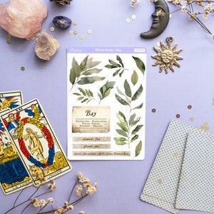 May include: A sheet of stickers featuring watercolor illustrations of bay leaves. The sticker sheet is labeled "Witch Herbs - Bay" and includes information about the herb's properties, element, planet, and deities.