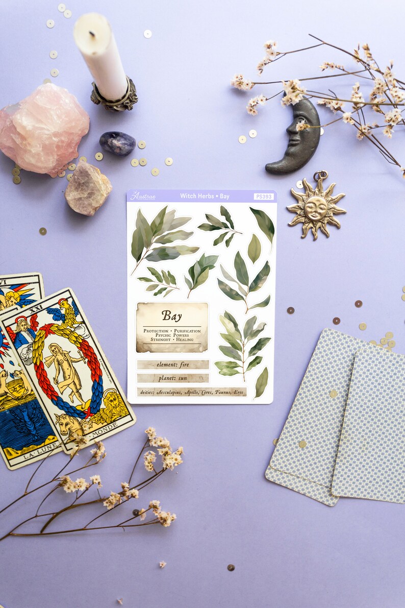 May include: A sheet of stickers featuring watercolor illustrations of bay leaves. The sticker sheet is labeled "Witch Herbs - Bay" and includes information about the herb's properties, element, planet, and deities.