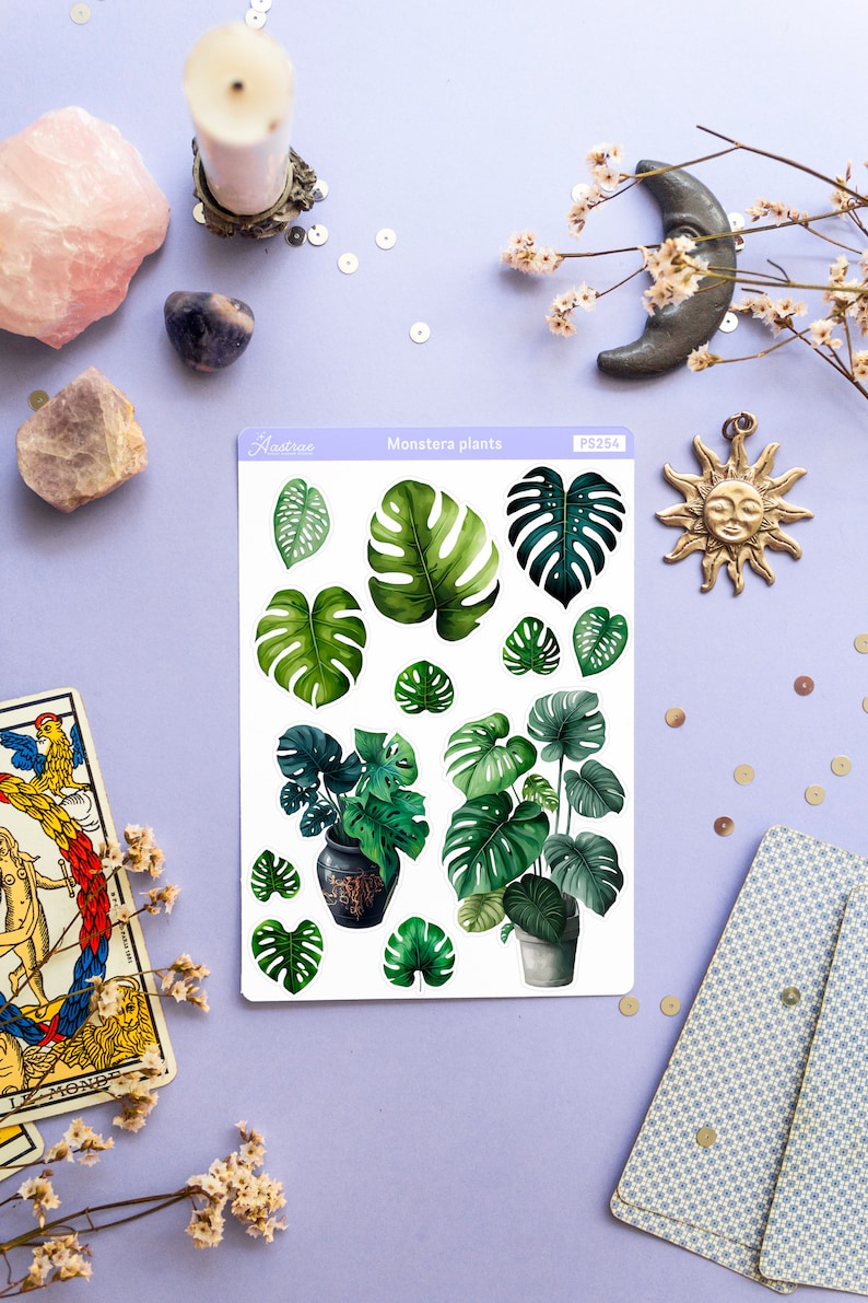 Puede incluir: Una hoja de pegatinas de plantas Monstera con varias formas de hojas y plantas en macetas. Las pegatinas son en tonos verdes y est&aacute;n sobre un fondo lila claro. La hoja tiene el texto "Monstera plants" y el c&oacute;digo "FS254".