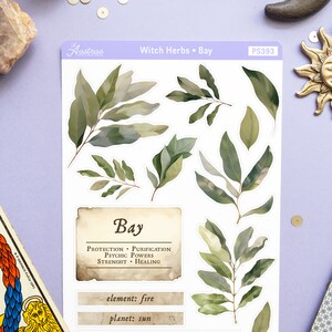 May include: A set of printable stickers featuring illustrations of bay leaves and text about the herb's properties. The text includes: "Bay", "Protection - Purification - Psychic Powers - Strength - Healing", "element: fire", "planet: sun", and "deities: Aesculapius, Apollo, Ceres, Faunus, Eros".