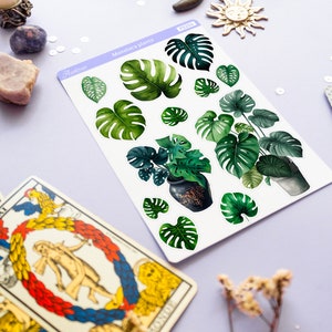 Puede incluir: Una hoja de pegatinas con ilustraciones de plantas de Monstera verdes, que incluyen hojas individuales y plantas en macetas. La hoja est&aacute; etiquetada como "Monstera plants" e incluye la marca "Aestron". Otros elementos en la imagen incluyen una carta del tarot, una luna creciente y un sol.