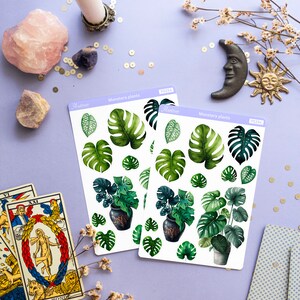 Puede incluir: Dos hojas de pegatinas con dise&ntilde;os de plantas Monstera, con hojas verdes y plantas en macetas. Las hojas est&aacute;n etiquetadas como "Monstera plants" y "Aastine". La imagen tambi&eacute;n muestra cartas del tarot, cristales y elementos decorativos.