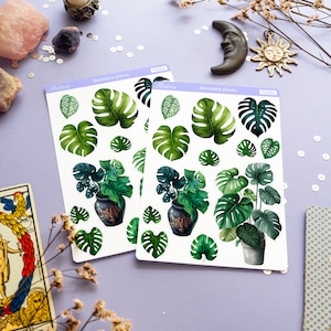 Puede incluir: Dos hojas de pegatinas con ilustraciones de acuarela de plantas de Monstera. Las pegatinas presentan hojas verdes y plantas en macetas. Las hojas est&aacute;n etiquetadas como "Monstera plants" y tienen la marca "Aestiae". El fondo es de color lila claro.
