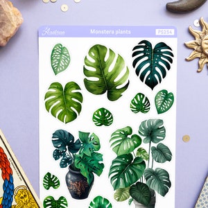 Puede incluir: Una hoja de pegatinas con ilustraciones de acuarela de plantas de Monstera. Las pegatinas muestran varios tama&ntilde;os y formas del filodendro de hoja partida, en tonos de verde y verde oscuro. La hoja tiene el texto "Monstera plants" y el c&oacute;digo "PS254".