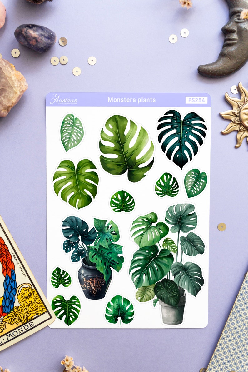 Puede incluir: Una hoja de pegatinas con ilustraciones de acuarela de plantas de Monstera. Las pegatinas muestran varios tama&ntilde;os y formas del filodendro de hoja partida, en tonos de verde y verde oscuro. La hoja tiene el texto "Monstera plants" y el c&oacute;digo "PS254".