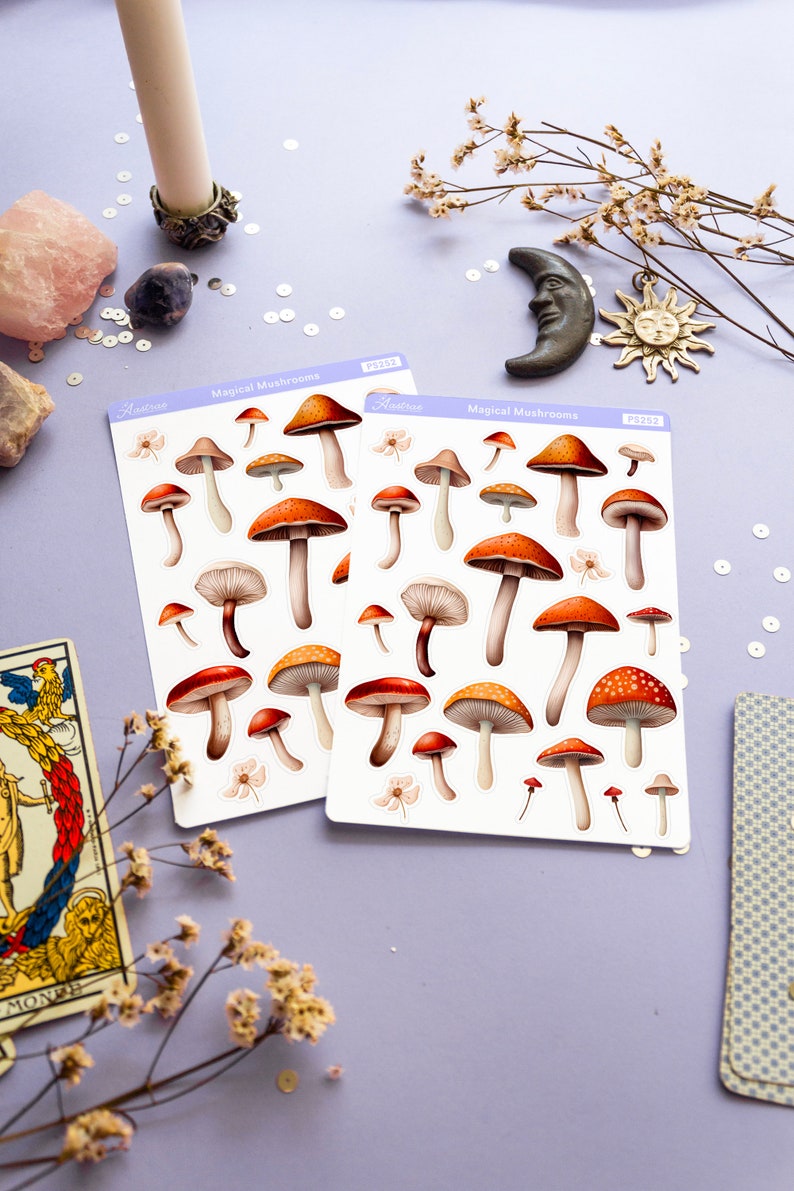 Peut inclure: Deux feuilles d'autocollants illustrant des champignons rouges et blancs. Les autocollants sont intitul&eacute;s "Champignons magiques" et portent le code produit "FS252".