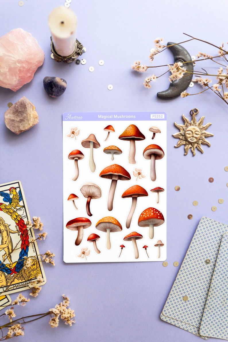 Peut inclure: Une feuille d'autocollants illustrant diff&eacute;rents types de champignons. Les autocollants sont blancs avec une bordure bleu clair et le texte "Magical Mushrooms" et "PS252" imprim&eacute; sur la feuille.