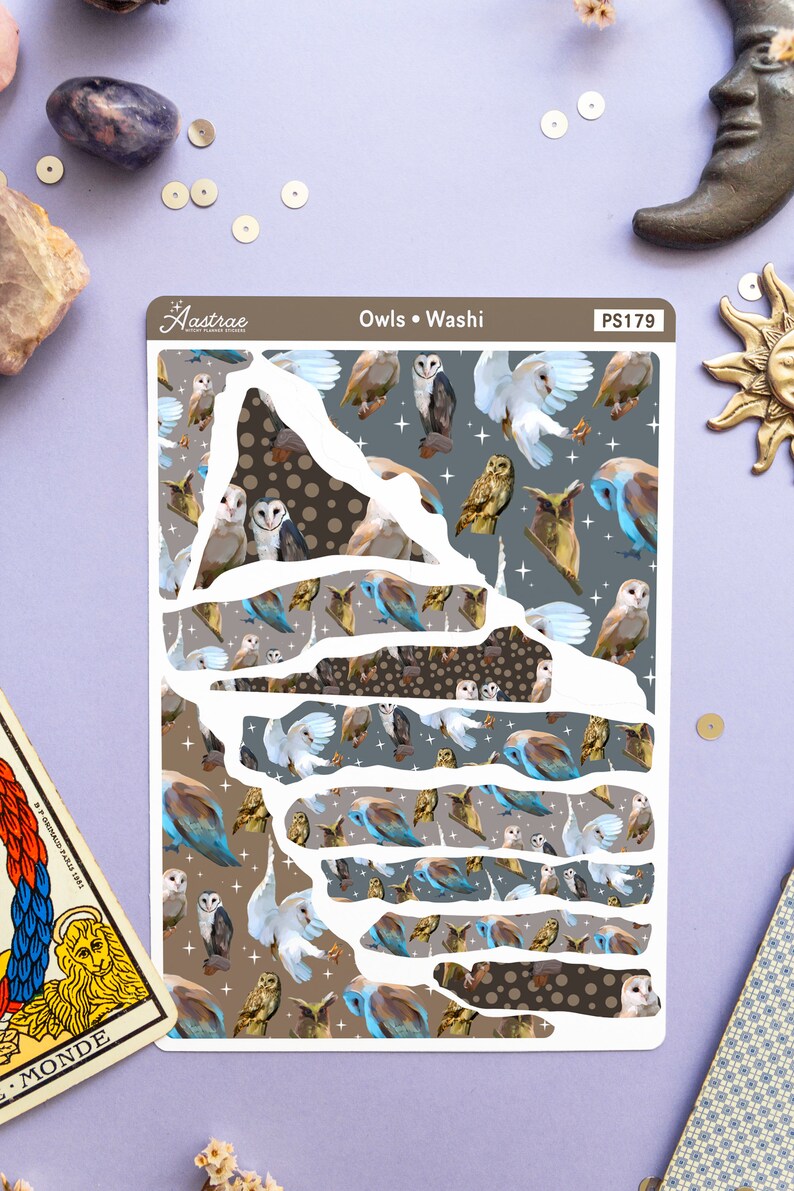 May include: A sheet of washi tape featuring a repeating pattern of owls in various poses and colors. The owls are on a gray background with white stars and brown polka dots. The tape is labeled "Owls &bull; Washi" and "PS179".