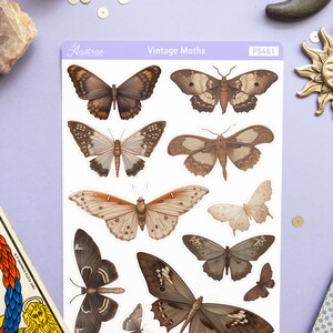 May include: A sheet of vintage moth stickers with a white background. The stickers feature various brown, black, and white moths with intricate wing patterns. The sheet is labeled "Vintage Moths" and "PS461".