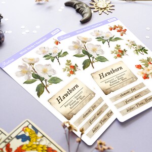 May include: A set of two vintage-style stickers featuring a Hawthorn plant with white flowers and red berries. The stickers include the name "Hawthorn" and information about the plant's properties, including fertility, chastity, fishing magic, happiness, and hope. The stickers also list the element, planet, and deities associated with the plant.