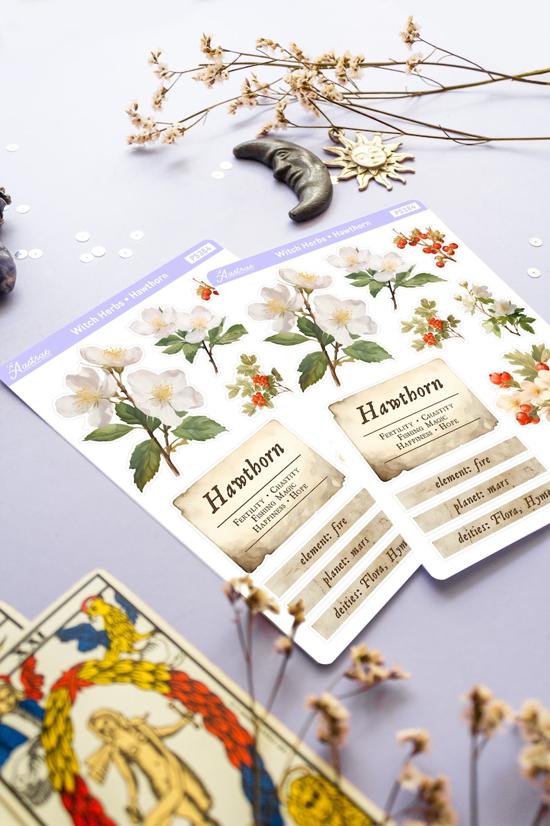 May include: A set of two vintage-style stickers featuring a Hawthorn plant with white flowers and red berries. The stickers include the name "Hawthorn" and information about the plant's properties, including fertility, chastity, fishing magic, happiness, and hope. The stickers also list the element, planet, and deities associated with the plant.