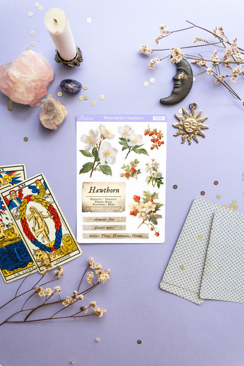 May include: A sheet of stickers featuring illustrations of Hawthorn flowers and berries. The sticker sheet includes the text "Hawthorn", "Fertility. Chastity.  Foreing Magic. Happiness. Hope", "element: fire", "planet: mars", and "deities: Flora, Hymenaios, Olwen".