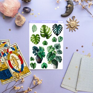 Puede incluir: Una hoja de pegatinas con ilustraciones de acuarela de plantas y hojas de Monstera. La hoja incluye varios tama&ntilde;os y estilos de la planta tropical. El texto "Monstera plants" est&aacute; impreso en la hoja. La imagen est&aacute; sobre una superficie lavanda con cartas del tarot y objetos decorativos.