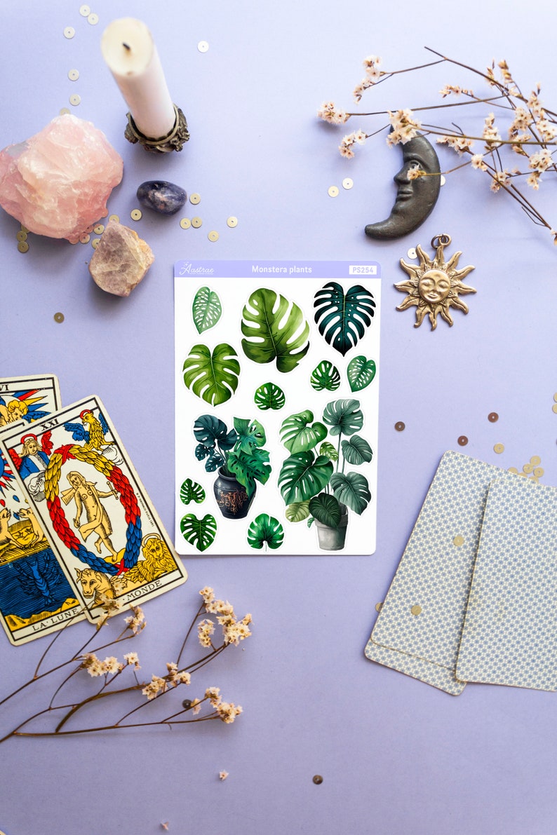 Puede incluir: Una hoja de pegatinas con ilustraciones de acuarela de plantas y hojas de Monstera. La hoja incluye varios tama&ntilde;os y estilos de la planta tropical. El texto "Monstera plants" est&aacute; impreso en la hoja. La imagen est&aacute; sobre una superficie lavanda con cartas del tarot y objetos decorativos.