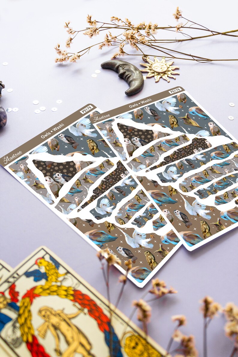 May include: A sheet of decorative stickers featuring a repeating pattern of owls and other birds in shades of brown, blue, and white. The stickers are designed to be cut out and used for journaling, scrapbooking, or other craft projects. The text "Owls + Washi" and "Aastrae" are visible on the stickers.